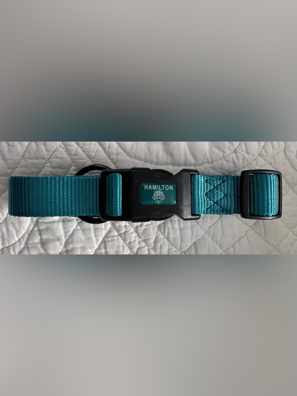New~Hamilton Dog Collar